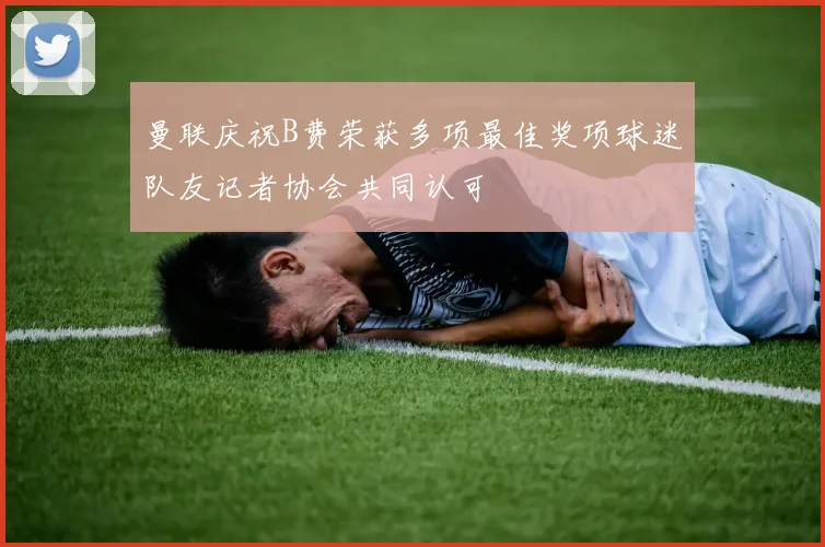 曼联庆祝B费荣获多项最佳奖项球迷队友记者协会共同认可