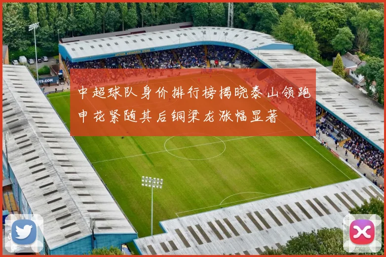 中超球队身价排行榜揭晓泰山领跑申花紧随其后铜梁龙涨幅显著