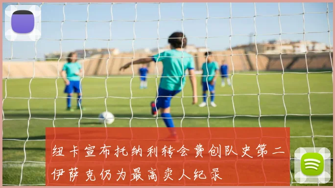 纽卡宣布托纳利转会费创队史第二伊萨克仍为最高卖人纪录