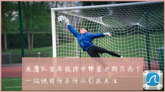 老鹰队宣布裁掉中锋查尔斯贝西下一站他将何去何从引发关注